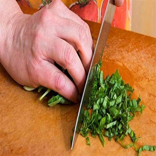 5-Piece Stainless Steel Kitchen Knife Set with Board & Scissor