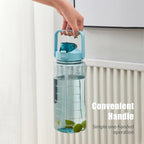 2L Transparent Water Bottle with Straw & Handle | Leakproof