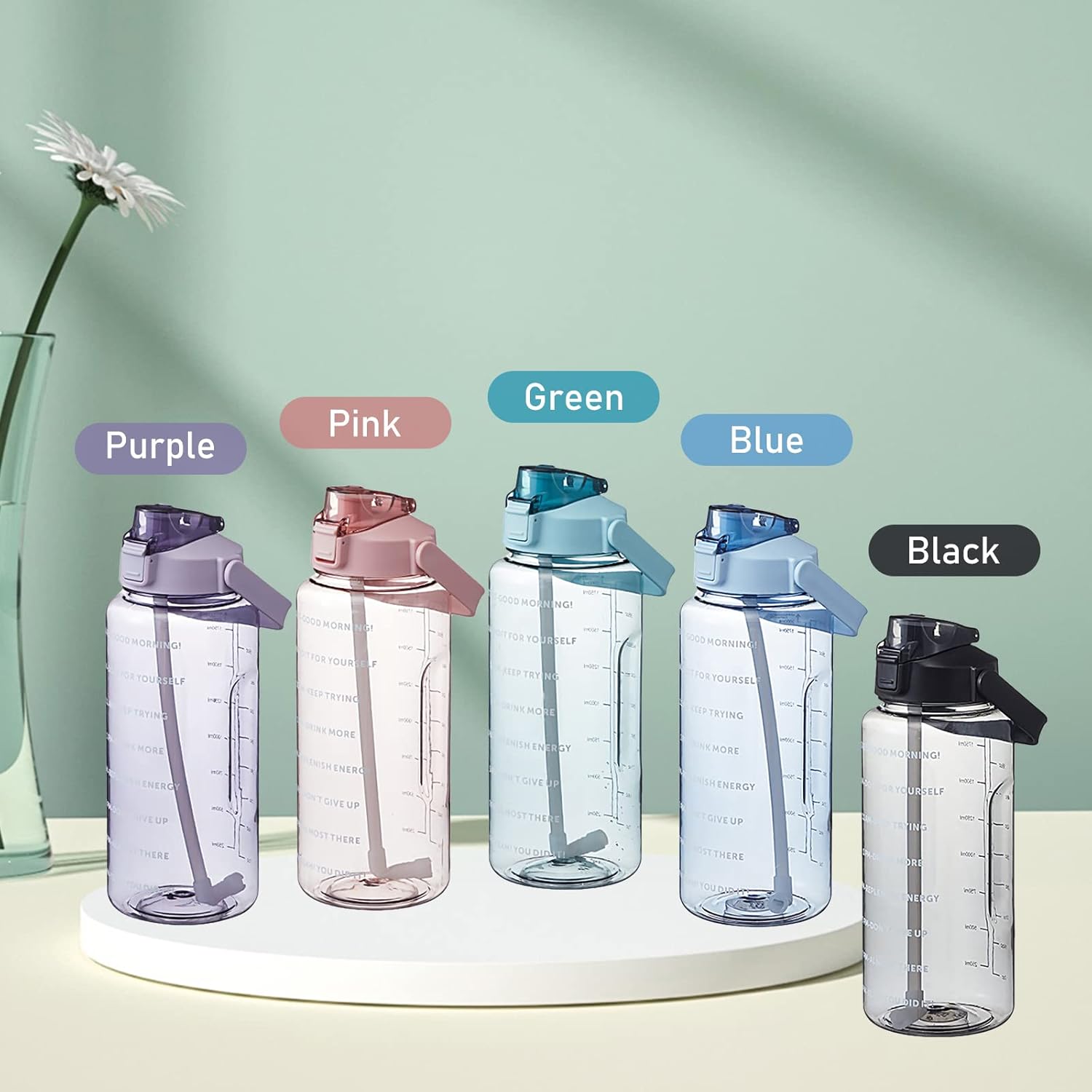 2L Transparent Water Bottle with Straw & Handle | Leakproof